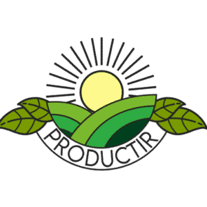 Properties of pistachios for children